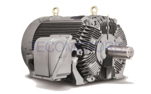 Motores a prueba de explosiones TECO NEMA