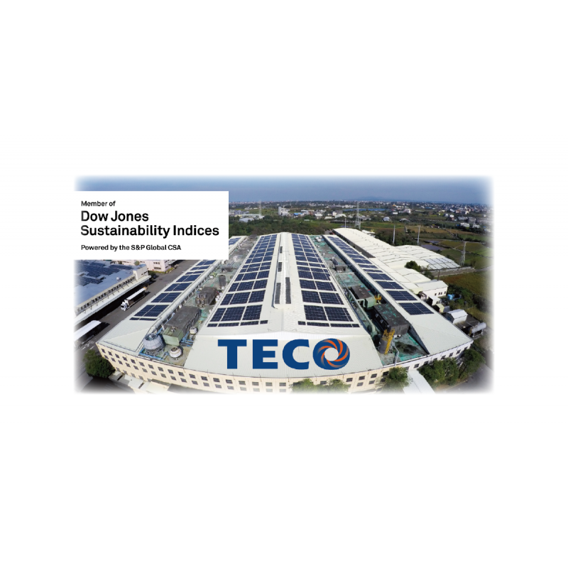 Included in Dow Jones Sustainability Index for three years in a row, TECO has won the highest international recognition again