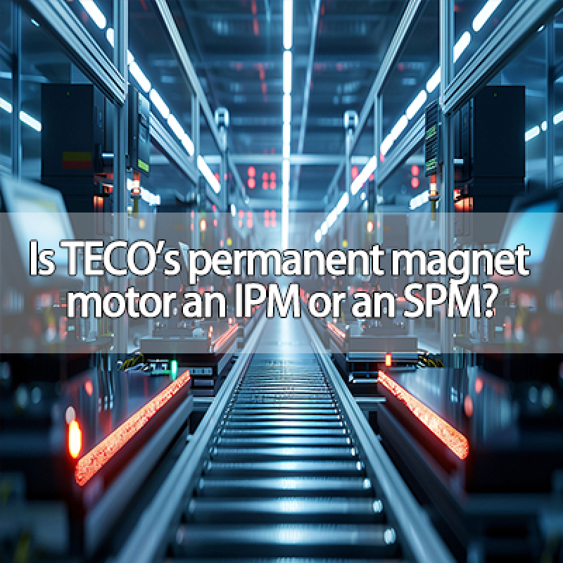Is TECO's permanent magnet motor an IPM or an SPM?