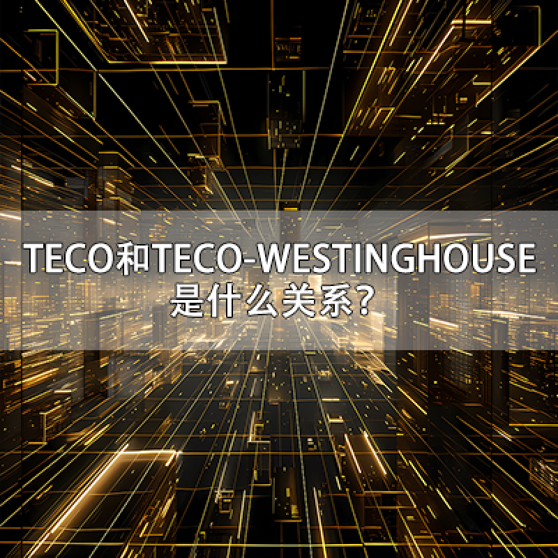 臺灣東元電機(jī)（TECO）和美國西屋電機(jī)（TECO-WESTINGHOUSE）是什么關(guān)系